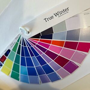 Color Swatch Fan Cool Winter / True Winter - Color Analysis
